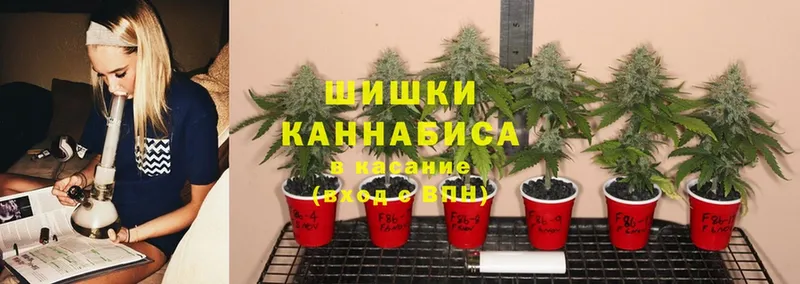 Конопля SATIVA & INDICA  Звенигород 